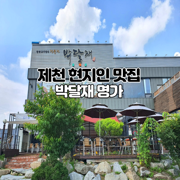  제천 명소 의림지 맛집추천 현지인맛집 박달재명가