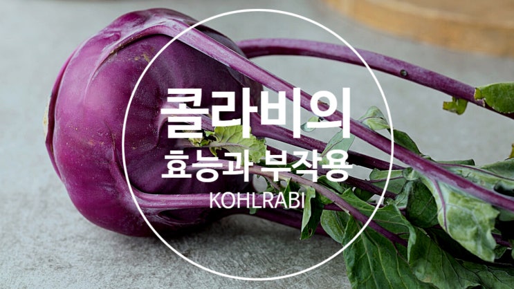  콜라비 효능 부작용 함께 알아봐요!!