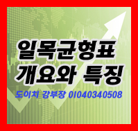  <첫번째마당>일목균형표의 개요 및 특징