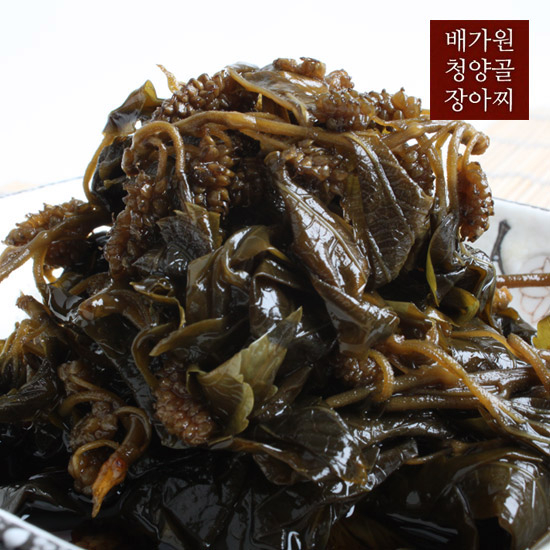 많이 찾는 배가원 청양골 뽕잎 장아찌 500g, 1개 좋아요