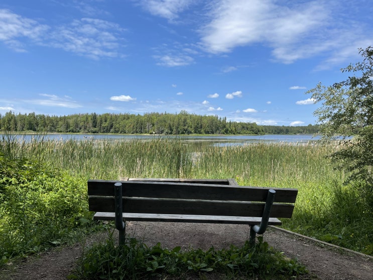 유모차 끌고도 거뜬한 Island Lake Conservation Area