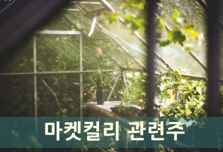  마켓컬리 관련주