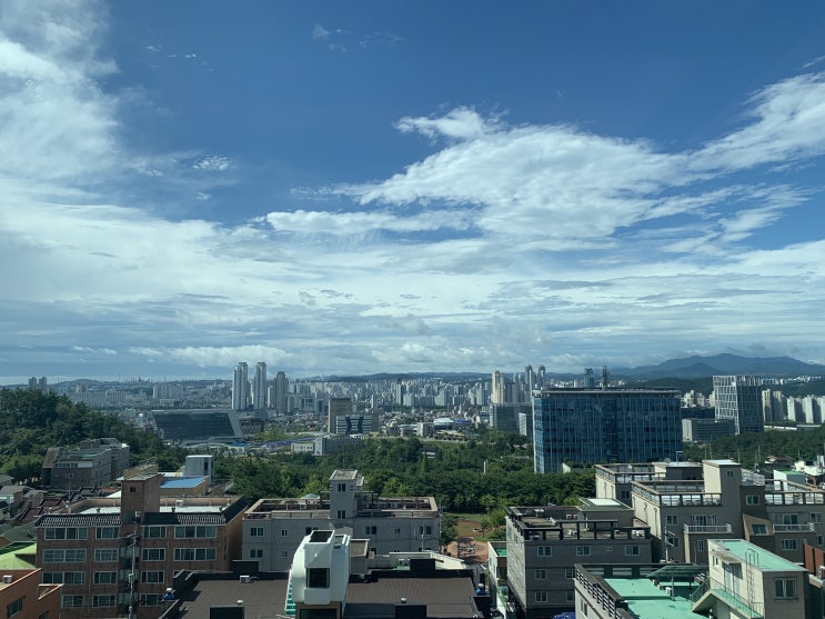  2021. 7. 4 오늘의 일기