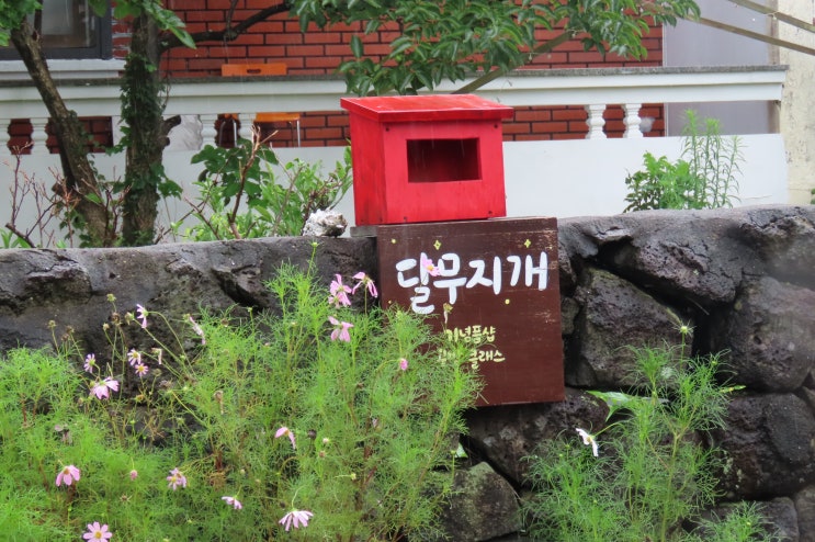  나만의 제주장마보내는방법.... 달무지개 공방