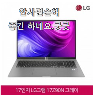 비교정보 LG전자 그램16 진짜 꿀템 이번 기회에 장만하시길