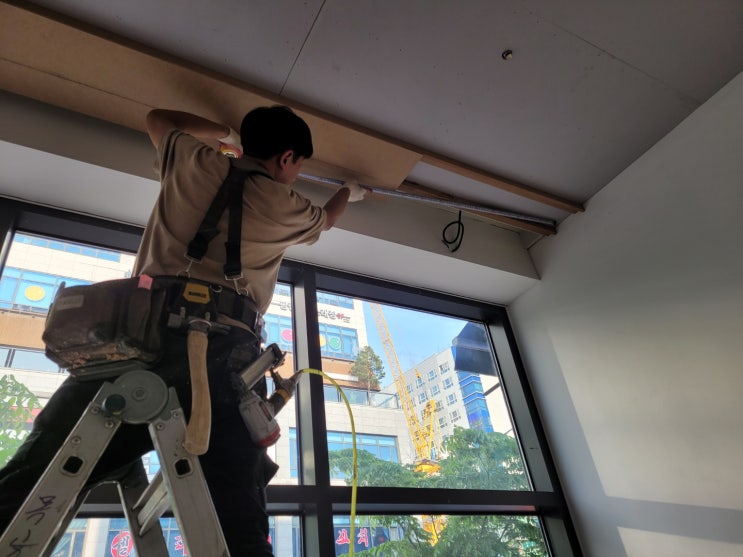  애견샵, 펫샵 인테리어 목공사 시공사례
