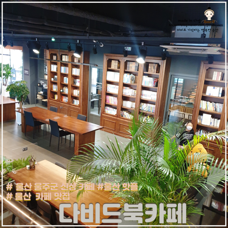  책과 함께 차와 디저트를 즐기기에 좋았던 울산 울주군 신상카페 다비드북카페