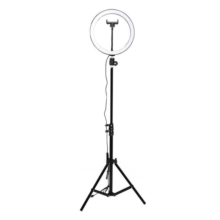 인기 급상승인 LED 링라이트 조명 25.4cm + 자이언트 170 삼각대, 1개, ZM-HX260LG 추천합니다 인기 급상승인 LED 링라이트 조명 25.4cm + 자이언트 170 삼각대, 1개, ZM-HX260LG 추천합니다