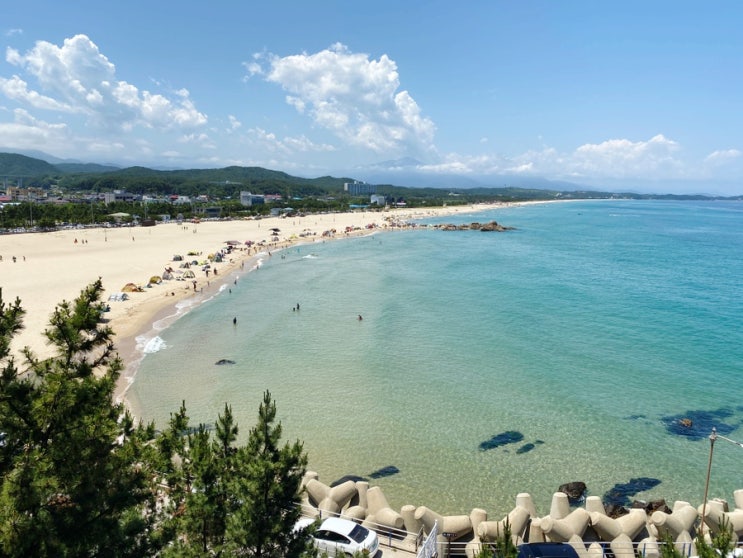  Hot한 양양서피비치 Vs 조용한 동호해변