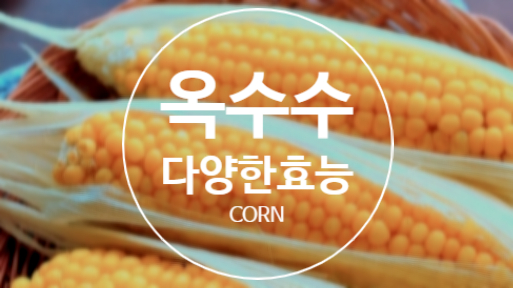  우리에게 친숙한 옥수수의 다양한 효능!!