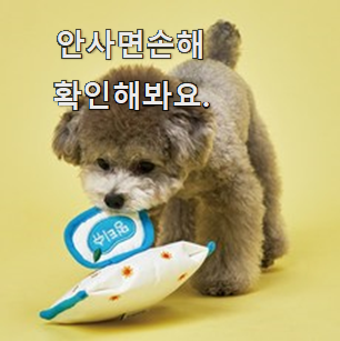  콕 찝어알려드림 강아지 장난감 물건 꼭 알아야 한다구요.