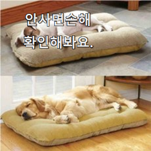 퀄리티 좋은 강아지 집 제품 갖고싶어요.