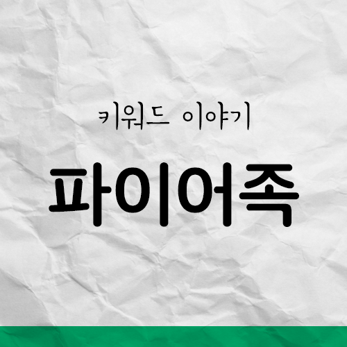  회사에 나를 그만 갈아넣기로 했다 - 파이어족 키워드 이야기