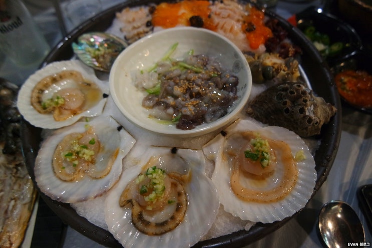  장한평역맛집 눈호강 제대로인 오징어사시미와 해물모듬 장안동횟집 오징어데이