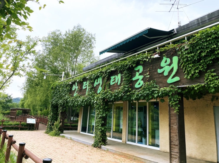  [밥스아카데미] 광명 안터생태공원 생태체험 교육