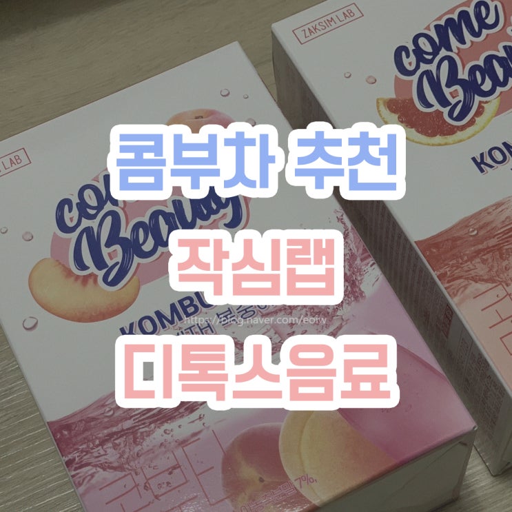  [콤부차추천] 작심랩, 디톡스음료 콤부차