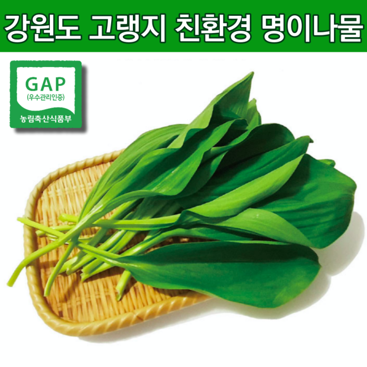 핵가성비 좋은 친환경 홍천명이나물 자연산 명이나물 산마늘잎 줄기명이 강원도 홍천명이 생명이나물 4월 제철나물 야생 봄철 홍천 영양 산나물 주문 명이나물2kg 1kg 1키로 2키로, 핵가성비 좋은 친환경 홍천명이나물 자연산 명이나물 산마늘잎 줄기명이 강원도 홍천명이 생명이나물 4월 제철나물 야생 봄철 홍천 영양 산나물 주문 명이나물2kg 1kg 1키로 2키로,