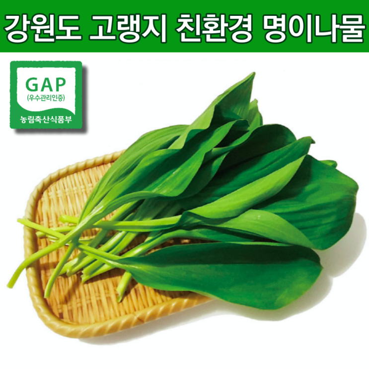 핵가성비 좋은 친환경 홍천명이나물 자연산 명이나물 산마늘잎 줄기명이 강원도 홍천명이 생명이나물 4월 제철나물 야생 봄철 홍천 영양 산나물 주문 명이나물2kg 1kg 1키로 2키로,