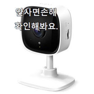  강력추천 니콘 카메라 핫 리스트 단골집 사장님이 추천이에요.