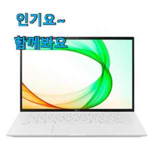 확실한 lg 그램 2021 17 아이템 사람들이 왜이렇게 찾는지 알거같네요 확실한 lg 그램 2021 17 아이템 사람들이 왜이렇게 찾는지 알거같네요