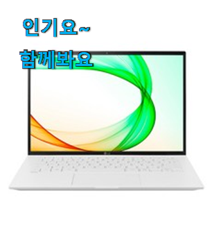 확실한 lg 그램 2021 17 아이템 사람들이 왜이렇게 찾는지 알거같네요