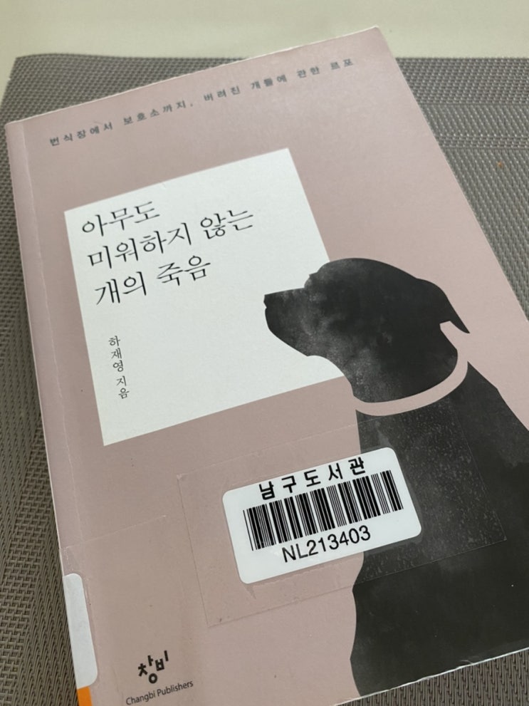  아무도 미워하지 않는 개의 죽음 - 하재영
