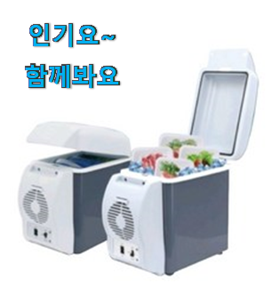 대박난 카니발 차량용냉장고 핫 리스트 득템하세요 대박난 카니발 차량용냉장고 핫 리스트 득템하세요