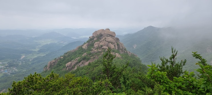 감암산도 아니고 모산재도 아닌...길게 한 우중산책! 감암산도 아니고 모산재도 아닌...길게 한 우중산책!