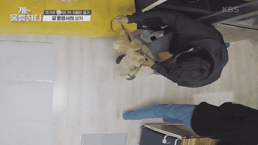 개는 훌륭하다 강형욱 사람 공격하는 개에 대한 뚝심 있는 생각은 과연? 개는 훌륭하다 강형욱 사람 공격하는 개에 대한 뚝심 있는 생각은 과연?