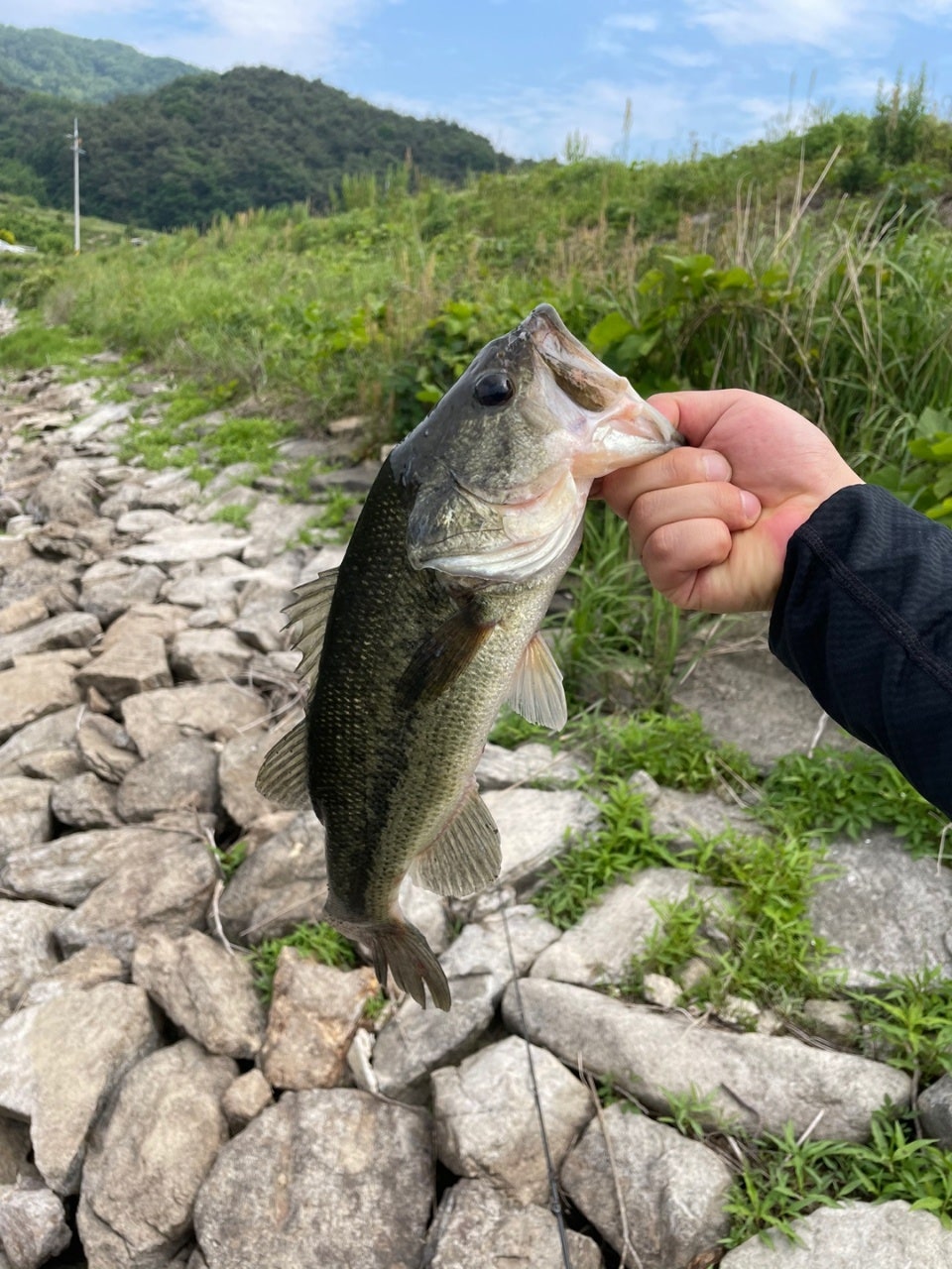 죽림제 사진 3