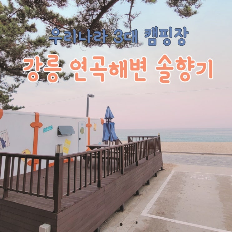  연곡 솔향기 캠핑장 명당자리 카라반 예약방법 공유