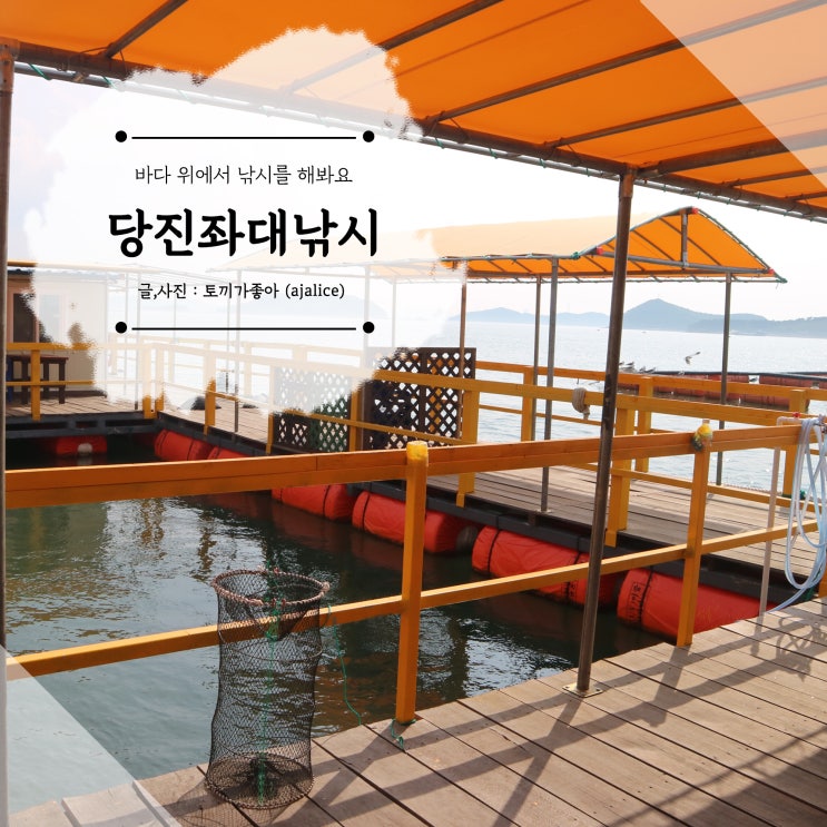 도비도좌대낚시 당진 바다낚시 즐겨봤어요 도비도좌대낚시 당진 바다낚시 즐겨봤어요
