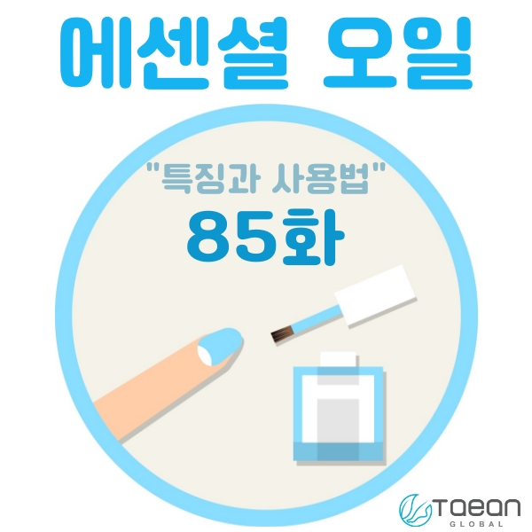  에센셜 오일 _ 특징과 사용법 85화