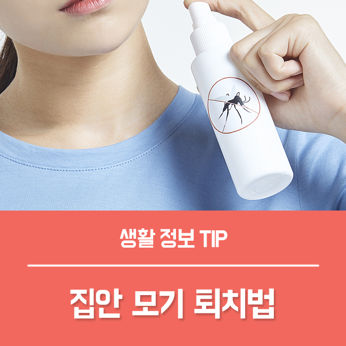  모기 퇴치 어플 주파수 효과 다양한 모기 퇴치법 Tip