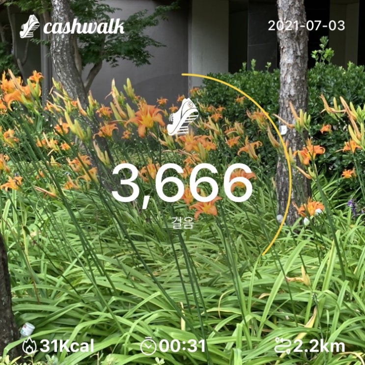  07.03) 31분