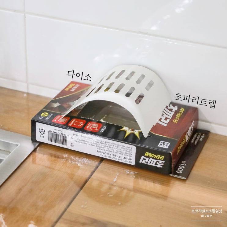  여름 불청객 초파리, 생기는 이유와 퇴치법! 다이소 트랩 어때?