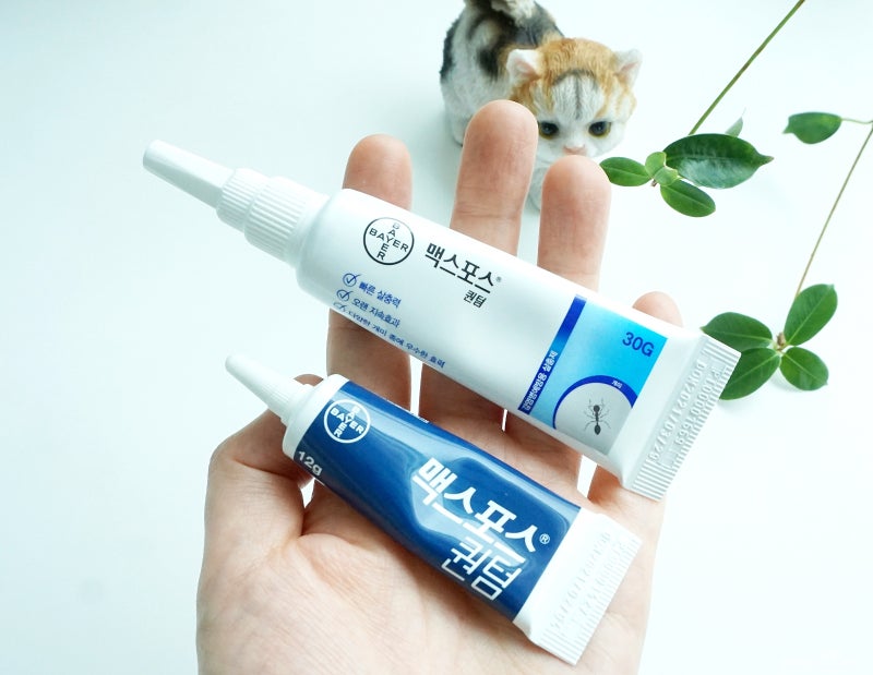 집개미퇴치 개미약 찾는다면 맥스포스퀀텀