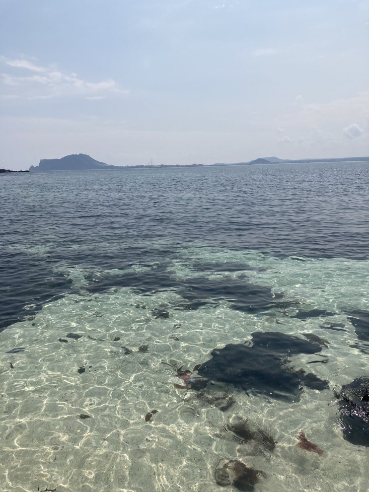  첫번째 제주도 여행 (feat. 9월 가을제주도, 제주동문시장, 안돌오름, 상춘재)