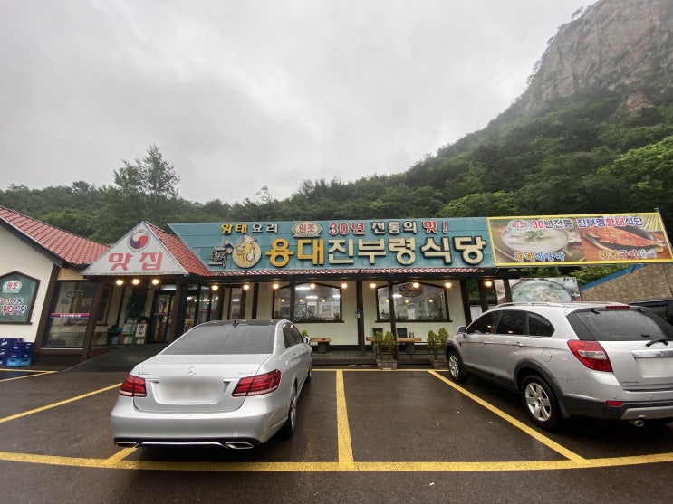  [내돈내산] 인제 용대리 진부령식당에서 식사와 황태 구매