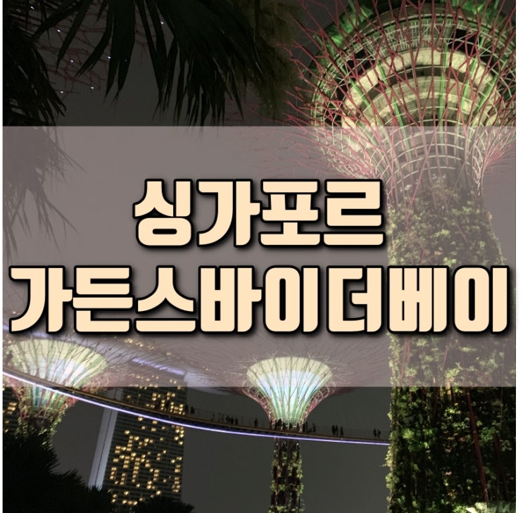  싱가포르 여행코스 가든스바이더베이 슈퍼트리쇼 입장료 시간 후기