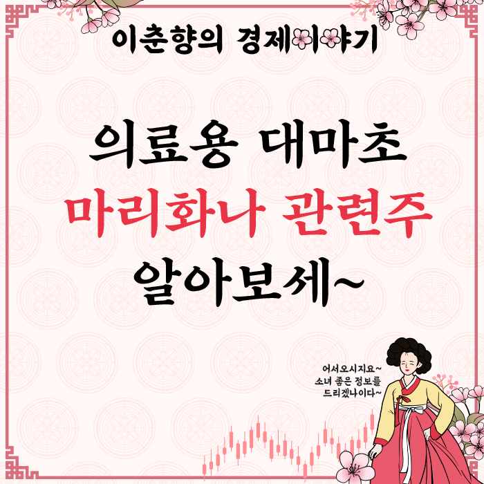  연달아 20% 이상 상승한 한국비엔씨 주가, 그 상승원인과 전망은?