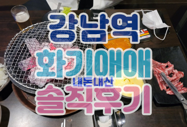  강남역 신논현역 맛집 분위기 좋은 고기집 화기애애 솔직후기
