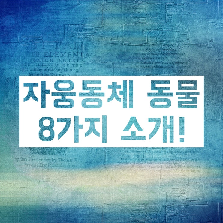 자웅동체 동물(지렁이, 달팽이 등) 어떤 것들이 있을까? 자웅동체 동물(지렁이, 달팽이 등) 어떤 것들이 있을까?