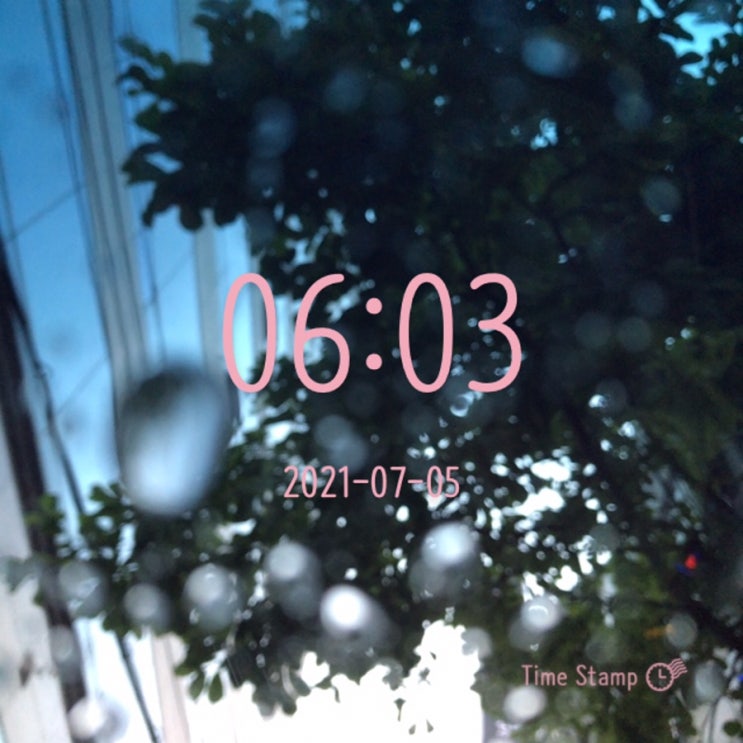  다시, 알찬하루 만들기~ (43일차)