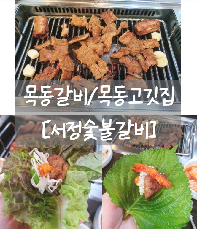  목동고깃집 [서정숯불갈비]에서 아이도 잘 먹는 돼지갈비 냠냠~