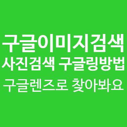  구글 이미지 검색, 구글렌즈로 모바일 사진검색 구글링 해봐요