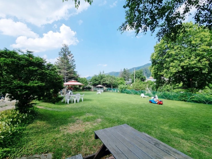 강원도 인제 애견동반카페 인더가든 In the garden 강원도 인제 애견동반카페 인더가든 In the garden