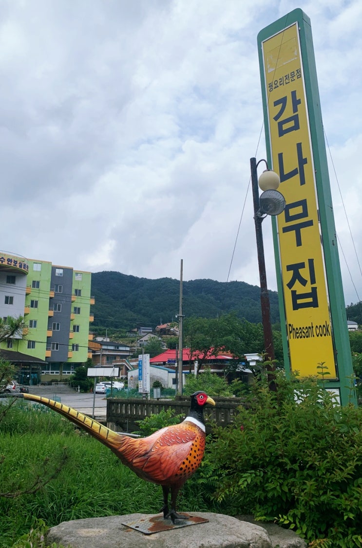  충주에서 꿩고기 요리를 맛볼 수 있는 집.