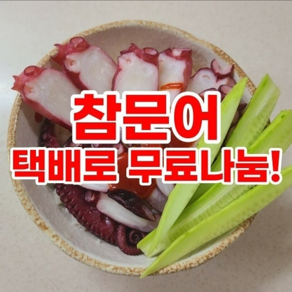  임은하푸드 참문어 무료나눔 이벤트