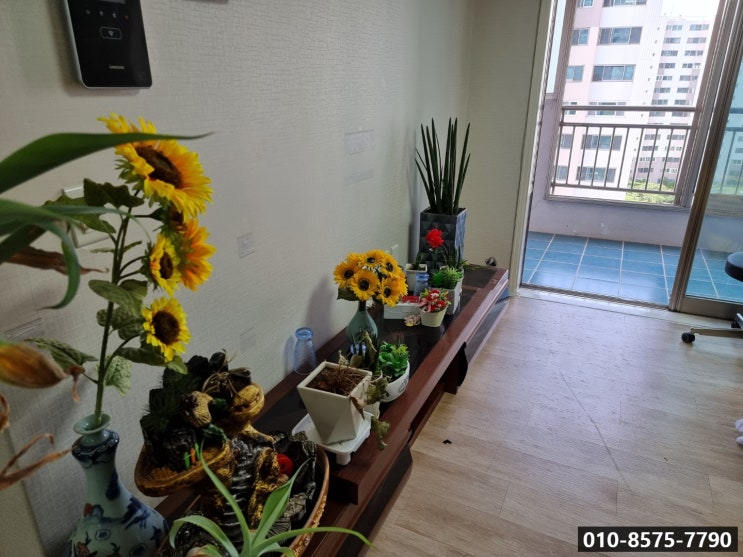  영천 유품정리 경산, 울산, 포항, 안동, 대구 유품정리와 폐기물처리까지 완벽하게!!